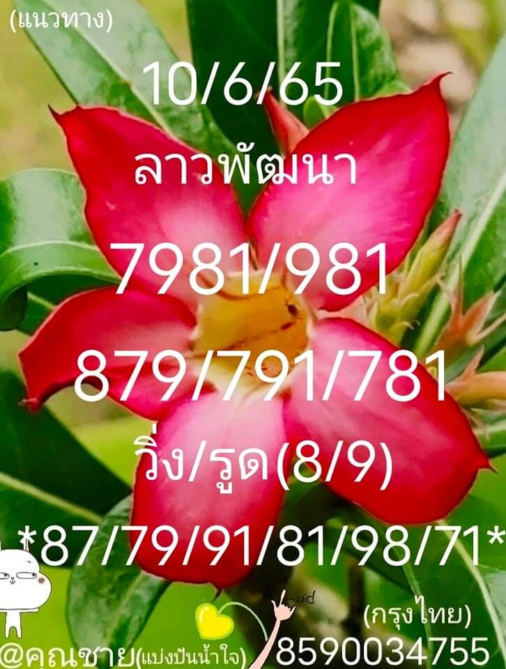 แนวทางหวยลาว 10/6/65 ชุดที่ 14