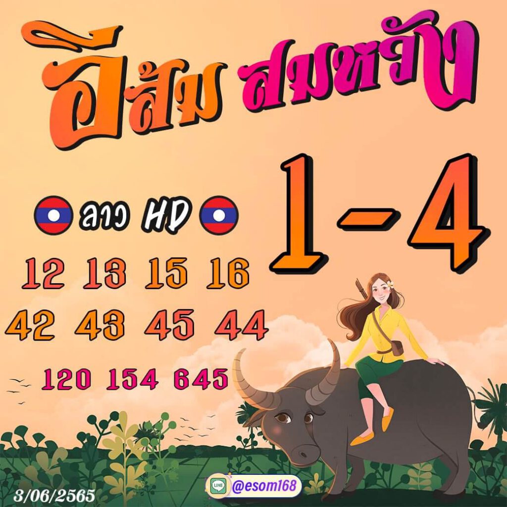 แนวทางหวยลาว 3/6/65 ชุดที่ 3