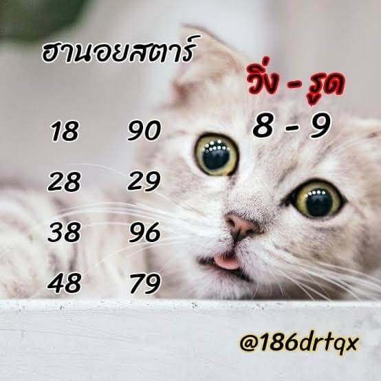 แนวทางหวยฮานอย 10/6/65 ชุดที่ 16