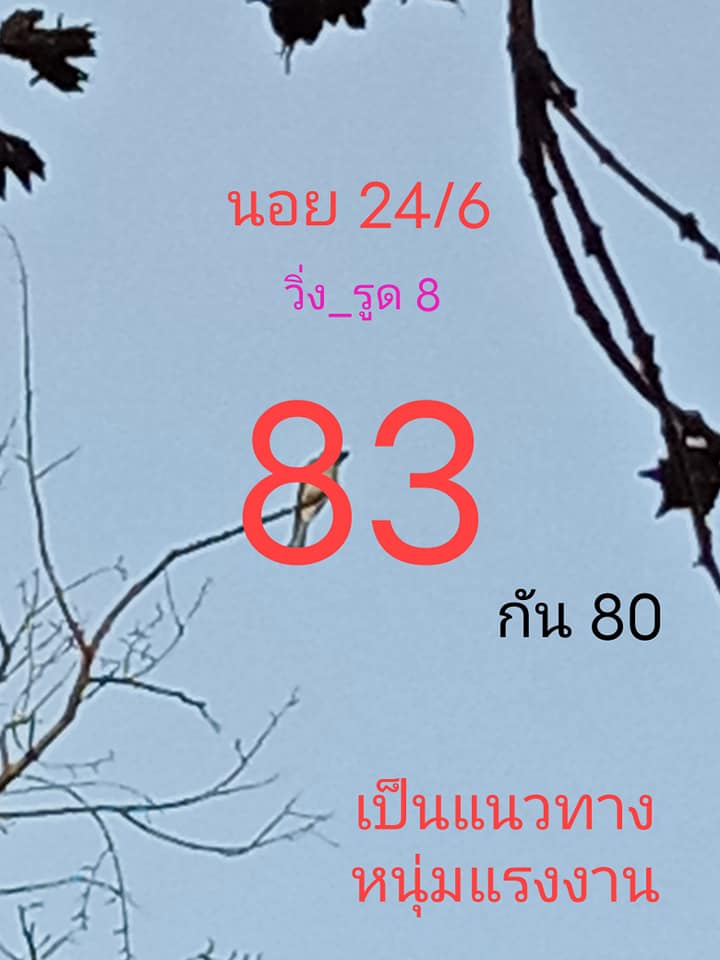 แนวทางหวยฮานอย 24/6/65 ชุดที่ 11