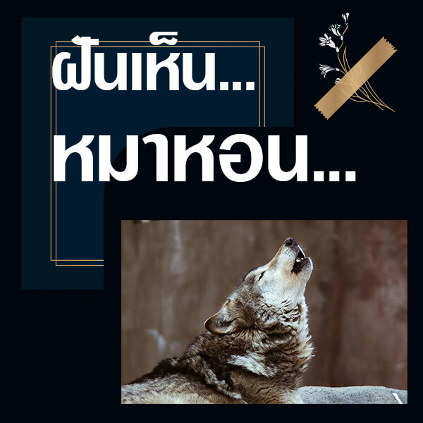 My Image 37