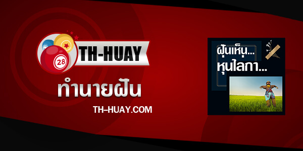 ปกทำนายฝันเห็นหุ่นไล่กา