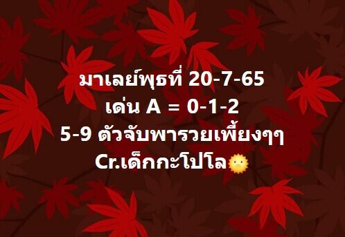 แนวทางหวยมาเลย์ 20/7/65 ชุดที่ 2