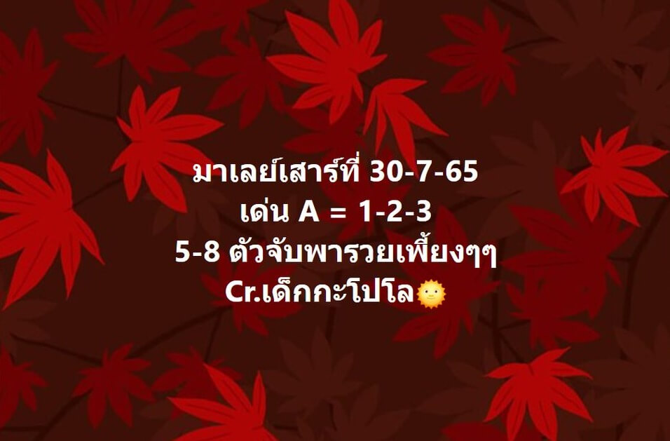 แนวทางหวยมาเลย์ 30/7/65 ชุดที่ 16