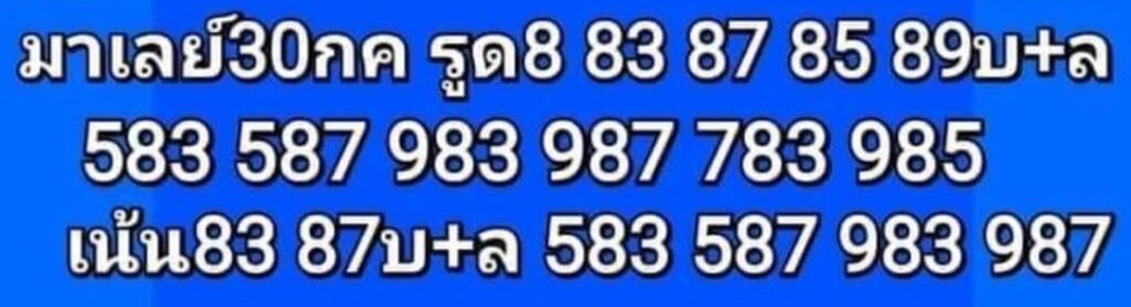 แนวทางหวยมาเลย์ 30/7/65 ชุดที่ 19