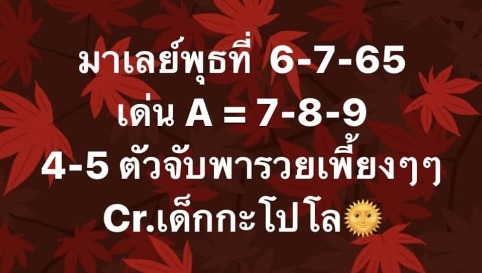 แนวทางหวยมาเลย์ 6/7/65 ชุดที่ 9