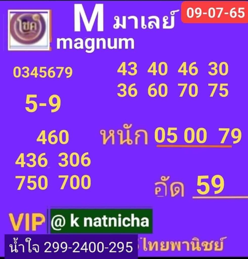 แนวทางหวยมาเลย์ 9/7/65 ชุดที่ 8