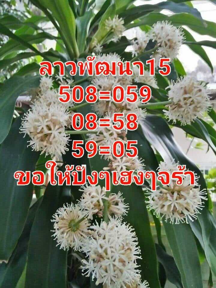 แนวทางหวยลาว 15/7/65 ชุดที่ 4