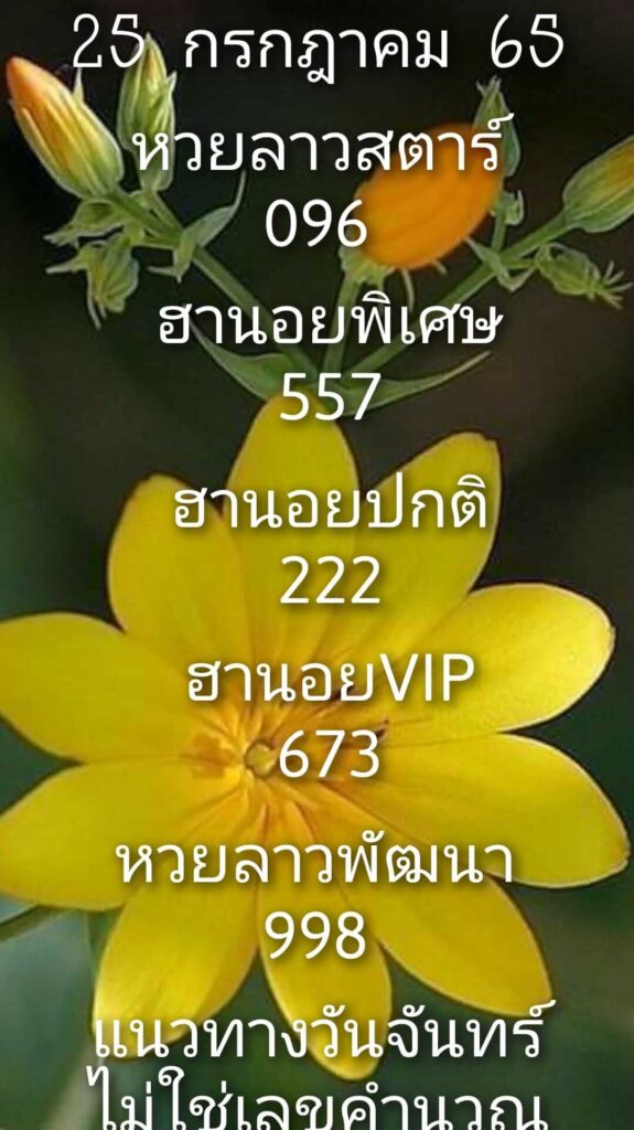 แนวทางหวยลาว 25/7/65 ชุดที่ 11