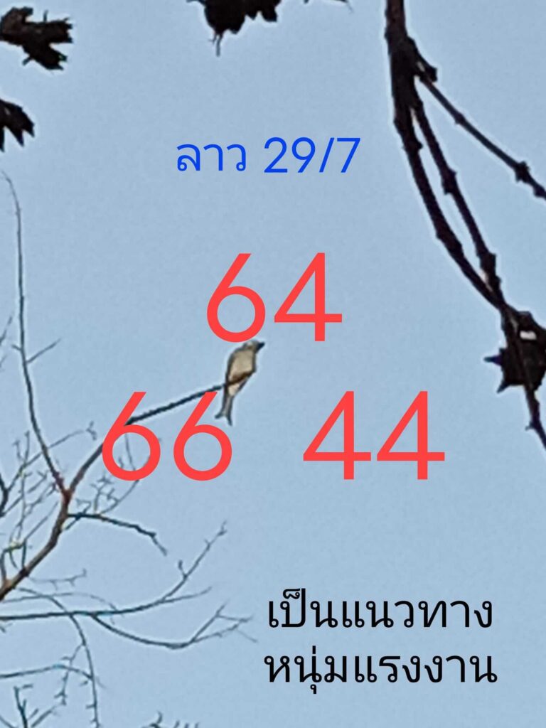 แนวทางหวยลาว 29/7/65 ชุดที่ 3