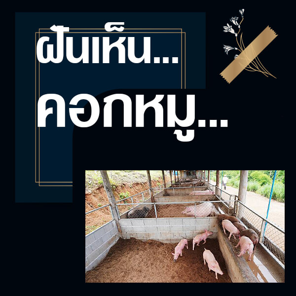 ทำนายฝันเห็นคอกหมู