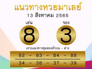 แนวทางหวยมาเลย์ 13/8/65 ชุดที่ 19