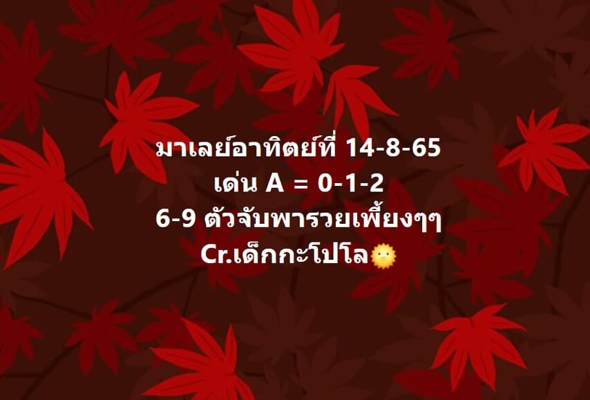 แนวทางหวยมาเลย์ 14/8/65 ชุดที่ 12