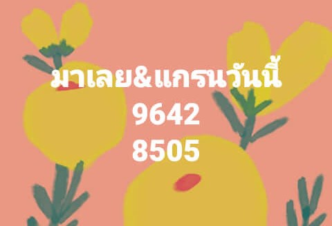 แนวทางหวยมาเลย์ 14/8/65 ชุดที่ 3