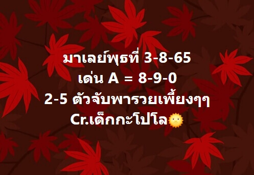 แนวทางหวยมาเลย์ 3/8/65 ชุดที่ 13