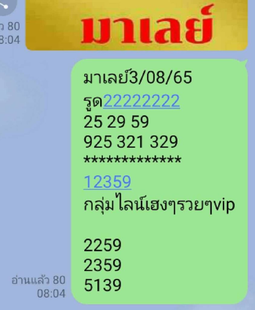 แนวทางหวยมาเลย์ 3/8/65 ชุดที่ 9