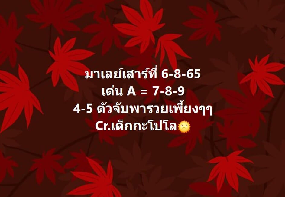 แนวทางหวยมาเลย์ 6/8/65 ชุดที่ 9