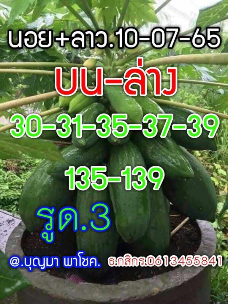 แนวทางหวยลาว 10/8/65 ชุดที่ 19