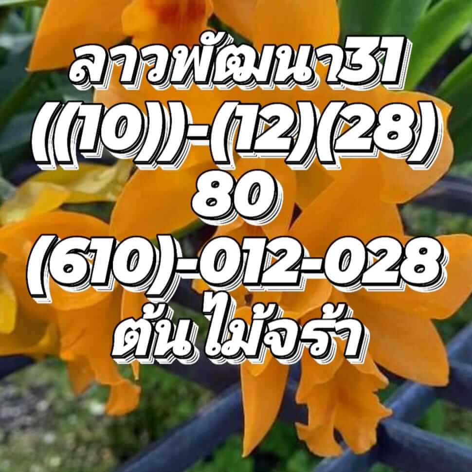 แนวทางหวยลาว 31/8/65 ชุดที่ 9