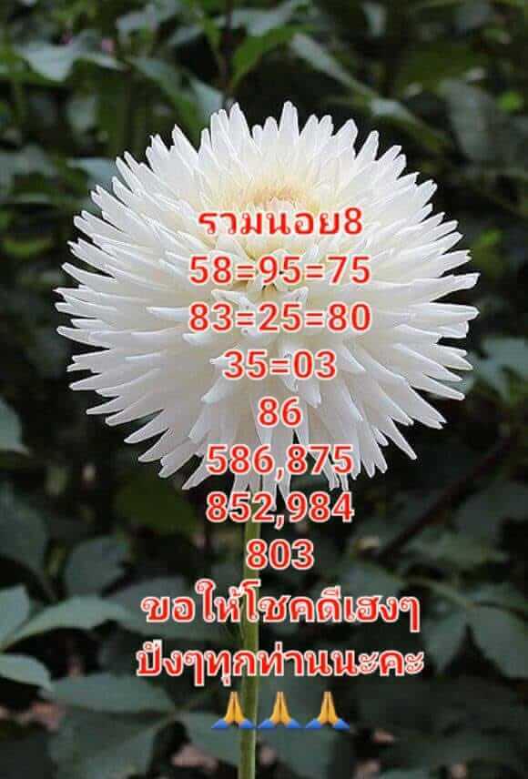 แนวทางหวยฮานอย 8/8/65 ชุดที่ 10