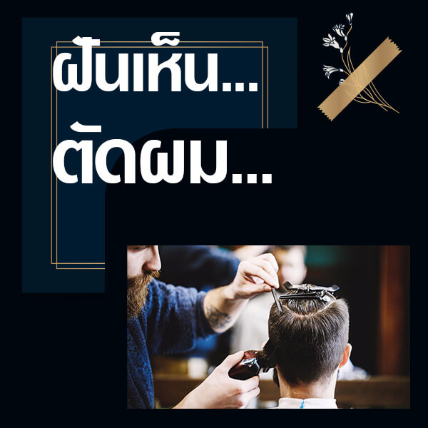 My Image 24