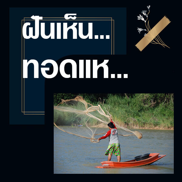 My Image 25