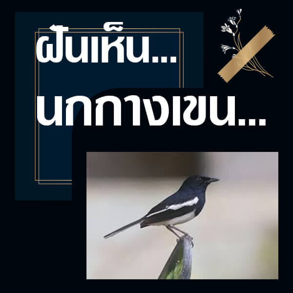 ทำนายฝันเห็นนกกางเขน