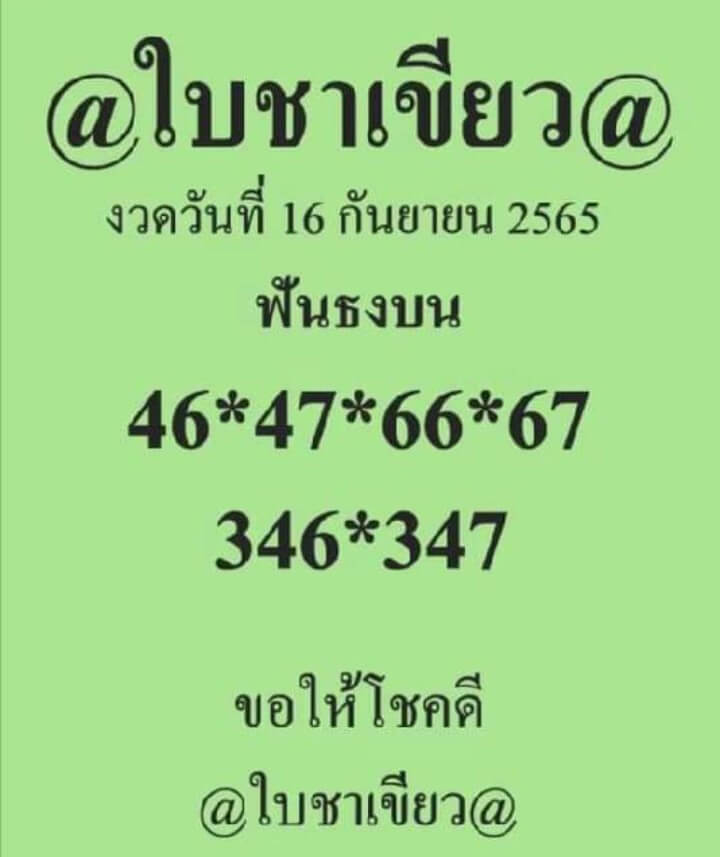 หวยใบชาเขียว 16/9/65