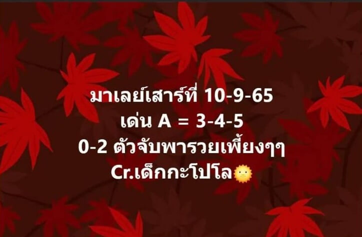 แนวทางหวยมาเลย์ 10/9/65 ชุดที่ 11