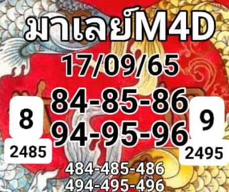 แนวทางหวยมาเลย์ 17/9/65 ชุดที่ 7