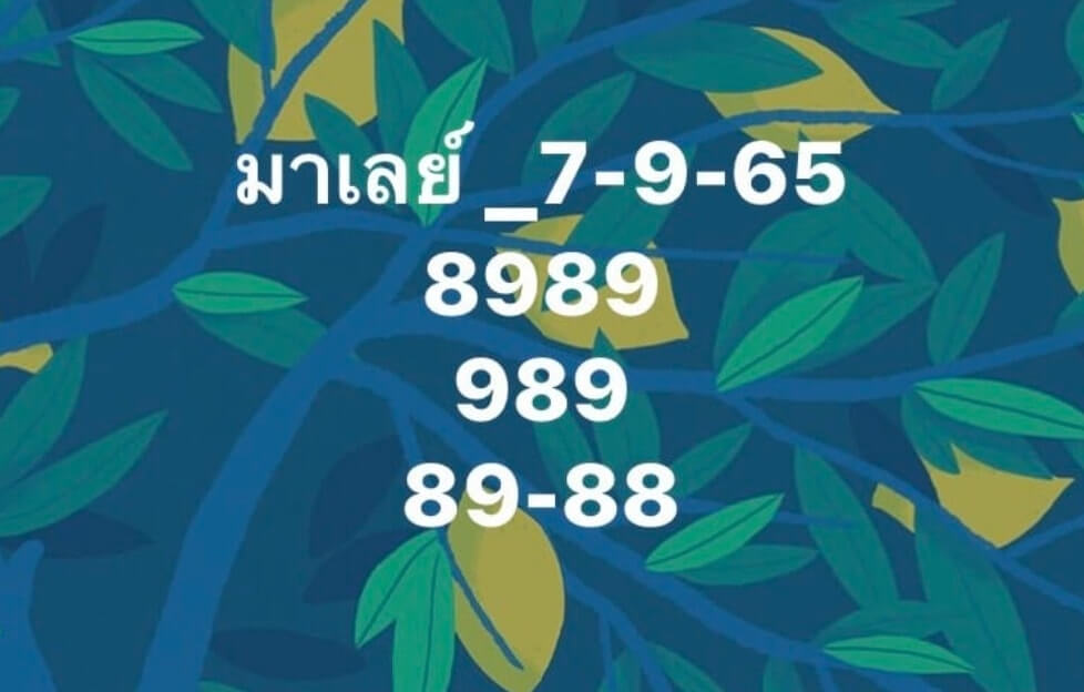 แนวทางหวยมาเลย์ 7/9/65 ชุดที่ 10