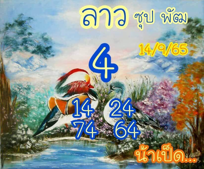 แนวทางหวยลาว 14/9/65 ชุดที่ 11