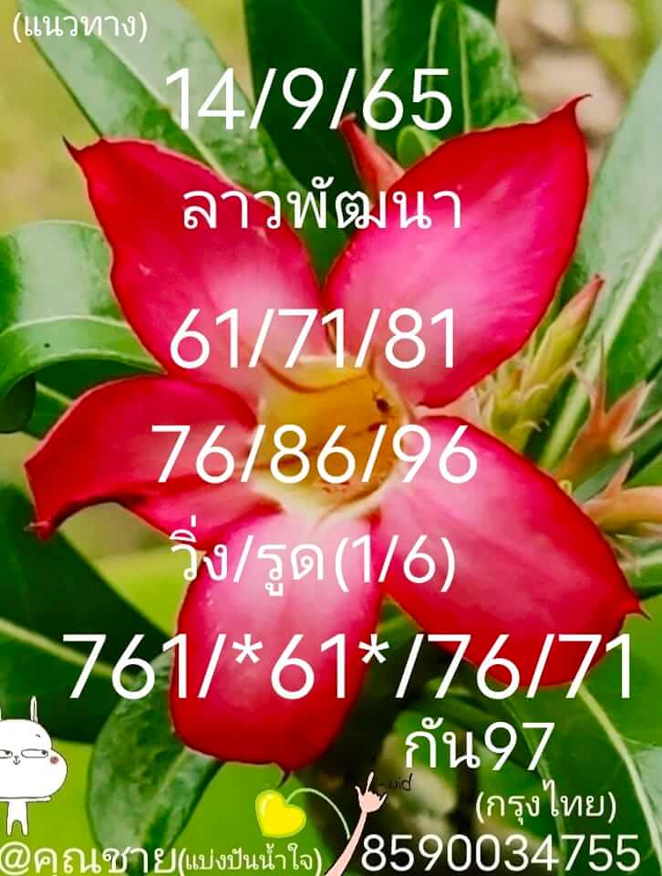 แนวทางหวยลาว 14/9/65 ชุดที่ 3