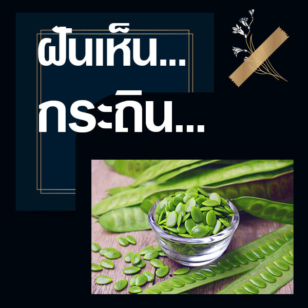 ทำนายฝันเห็นกระถิน