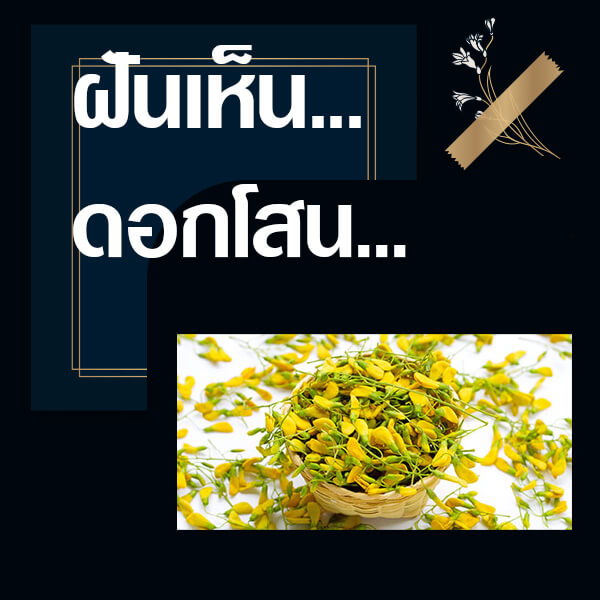 ทำนายฝันเห็นดอกโสน