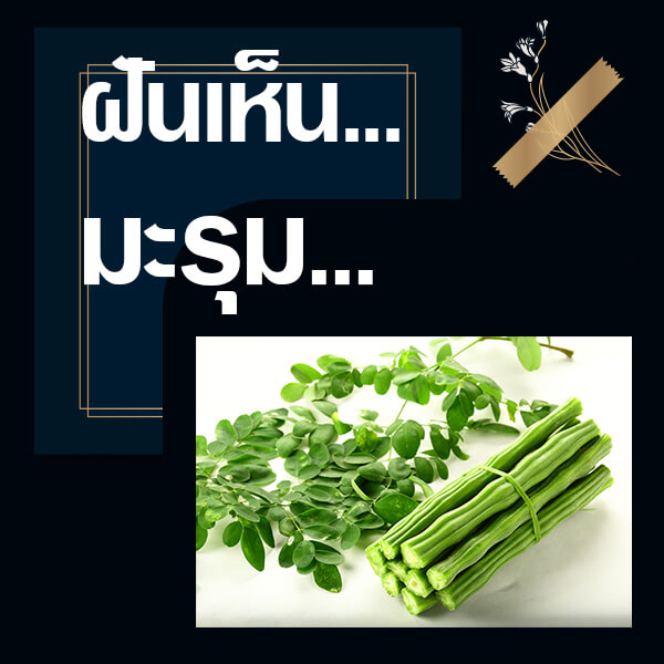 ทำนายฝันเห็นมะรุม