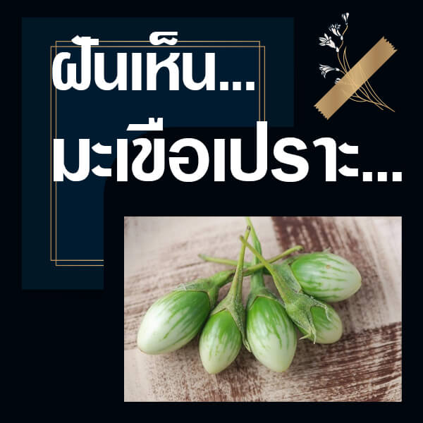 ทำนายฝันเห็นมะเขือเปราะ