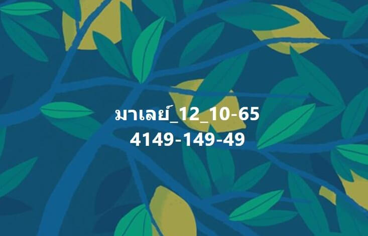 แนวทางหวยมาเลย์ 12/10/65 ชุดที่ 15