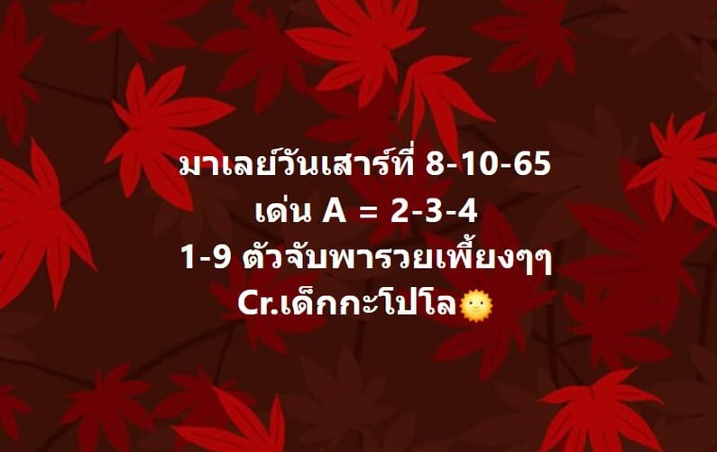 แนวทางหวยมาเลย์ 8/10/65 ชุดที่ 9