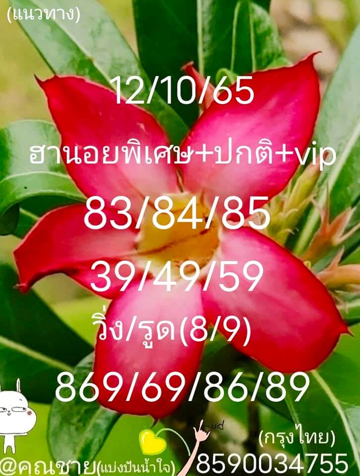 แนวทางหวยฮานอย 12/10/65 ชุดที่ 6