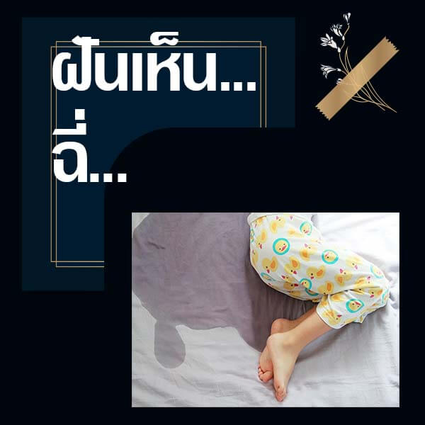 ทำนายฝันเห็นฉี่