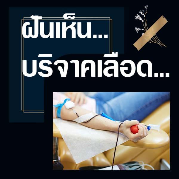 ทำนายฝันเห็นบริจาคเลือด