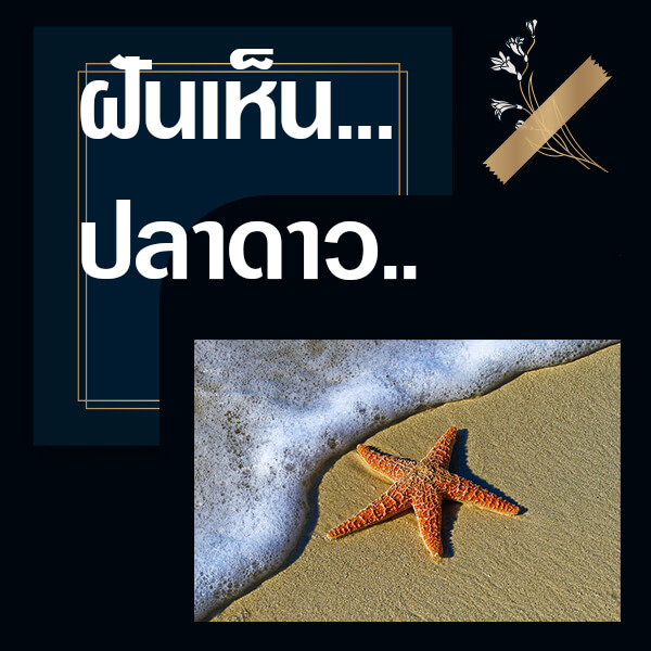 ทำนายฝันเห็นปลาดาว