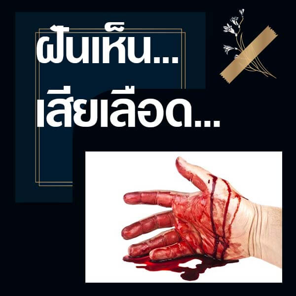 ทำนายฝันเห็นเสียเลือด