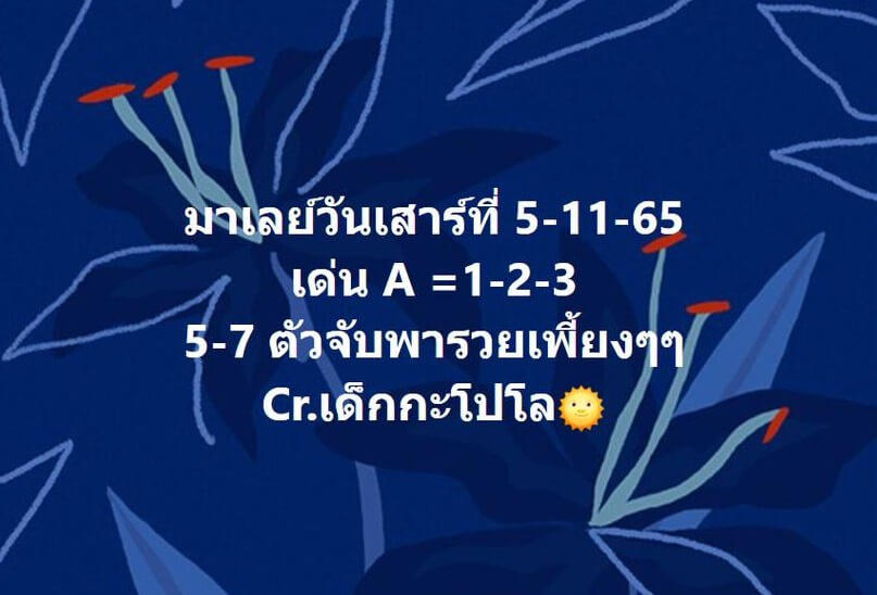 แนวทางหวยมาเลย์ 5/11/65 ชุดที่ 12