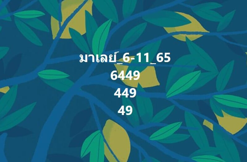 แนวทางหวยมาเลย์ 6/11/65 ชุดที่ 13