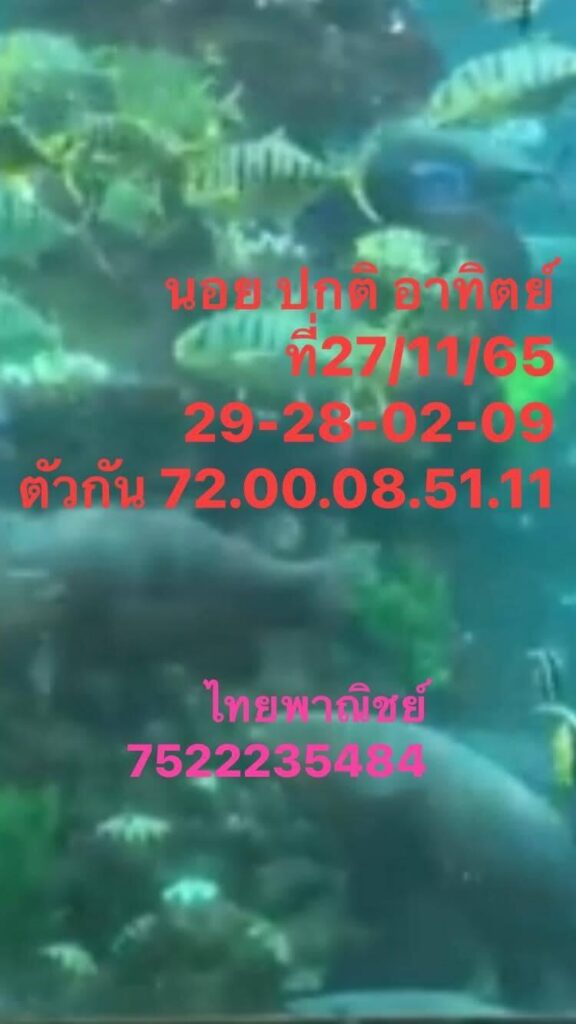 แนวทางหวยฮานอย 27/11/65 ชุดที่ 6