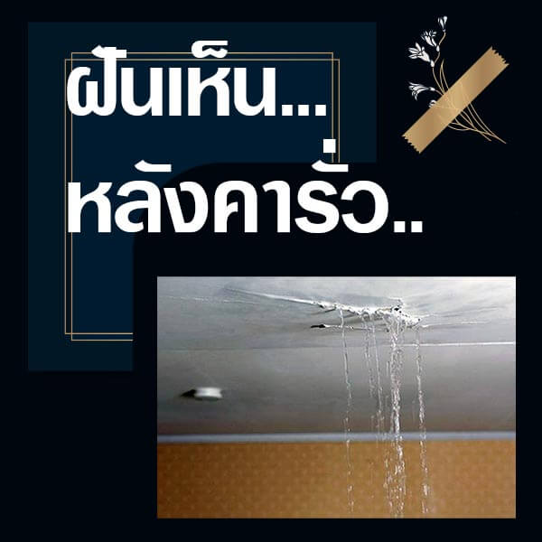 ทำนายฝันเห็นหลังคารั่ว