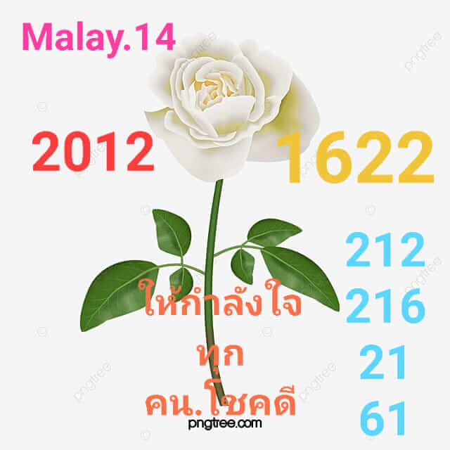 แนวทางหวยมาเลย์ 14/12/65 ชุดที่ 5