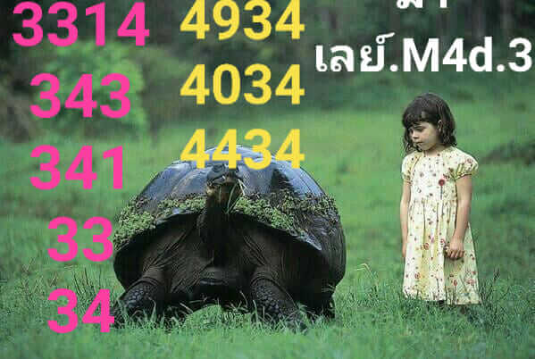 แนวทางหวยมาเลย์ 3/12/65 ชุดที่ 3